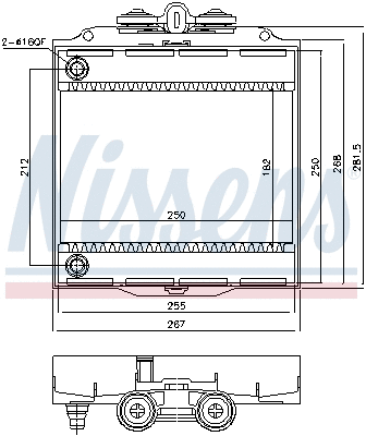 Radiator, engine cooling