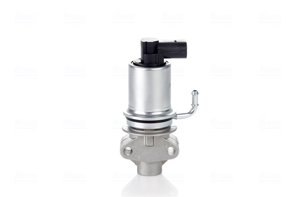 EGR Valve (98201)