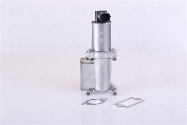 EGR Valve (98305)