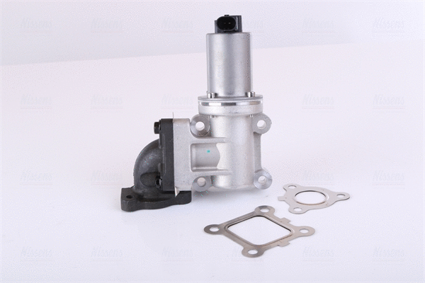 EGR Valve (98355)