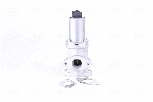 EGR Valve (98308)