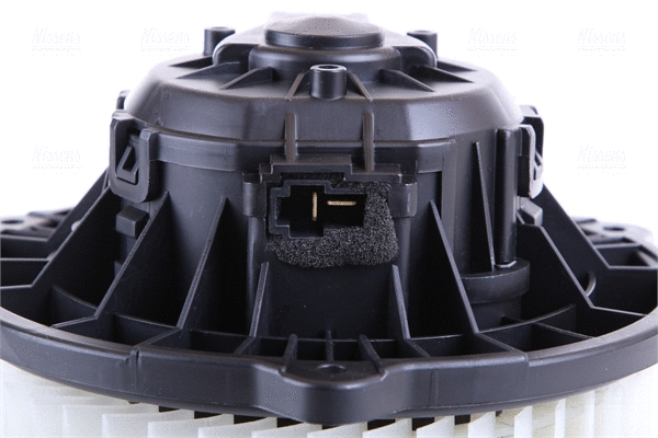 Interior Blower
