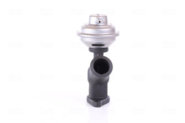 EGR Valve (98343)