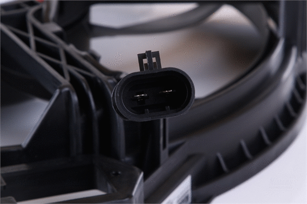 Fan, engine cooling