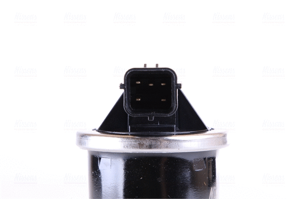 EGR Valve (98247)