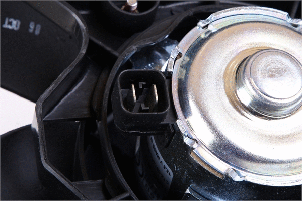 Fan, engine cooling