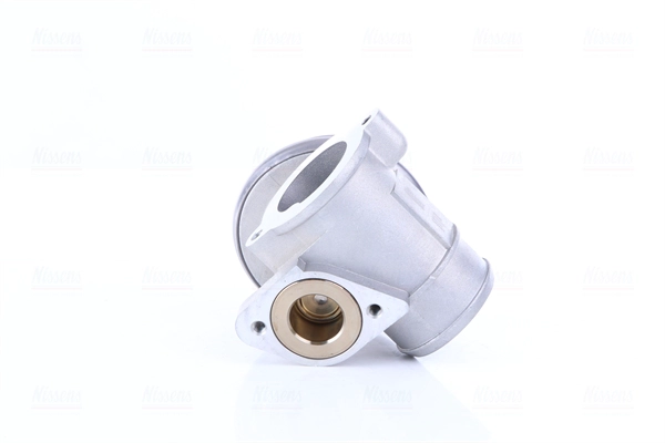 EGR Valve (98433)