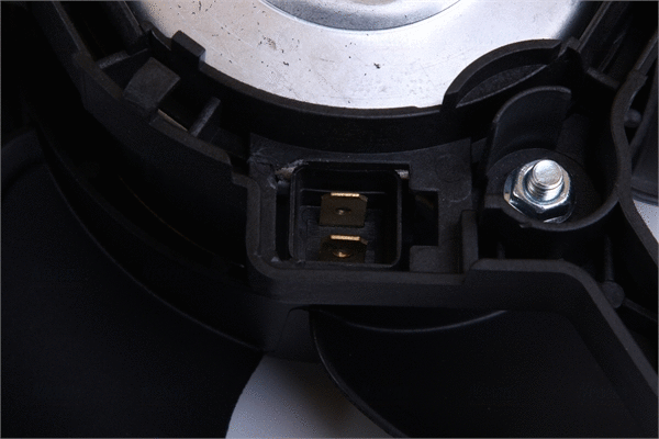 Fan, engine cooling
