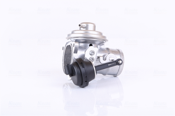 EGR Valve (98303)