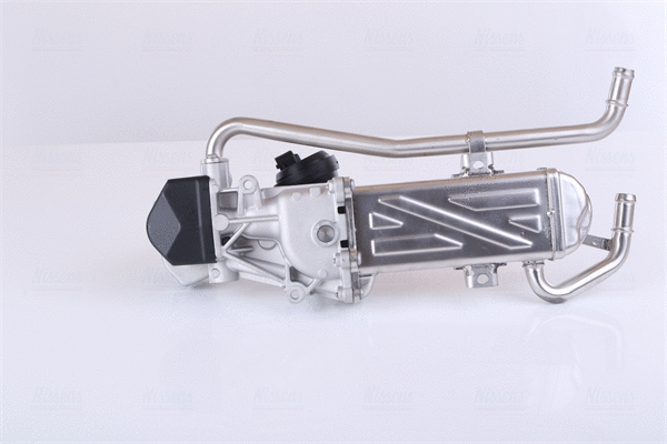 EGR Module