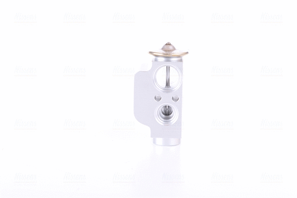 Expansion Valve, air conditioning (999317)