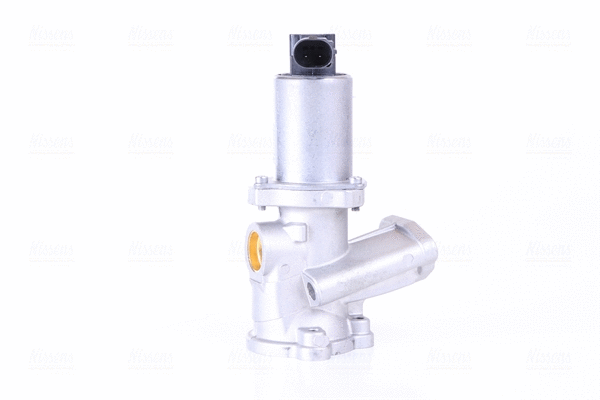 EGR Valve (98210)