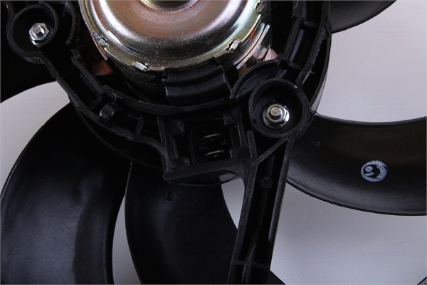 Fan, engine cooling