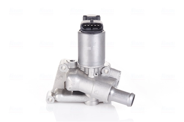 EGR Valve (98195)
