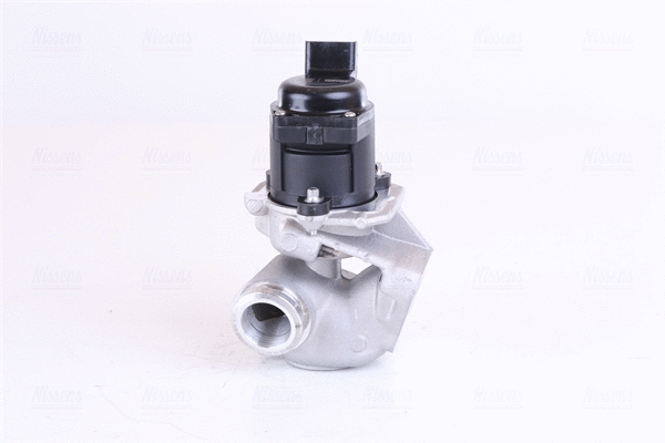 EGR Valve (98150)