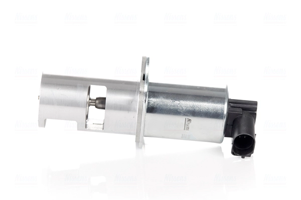 EGR Valve (98190)