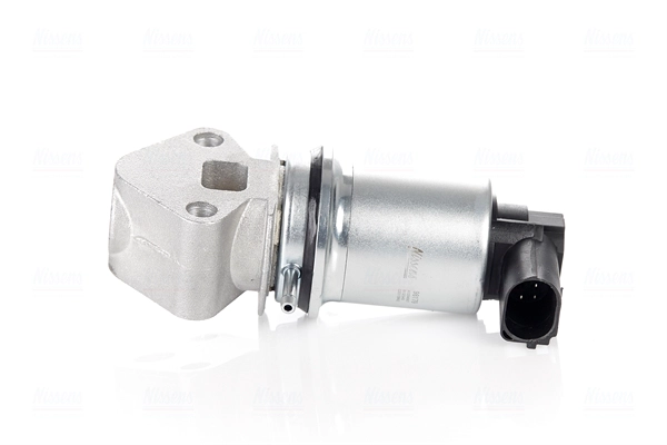 EGR Valve (98179)