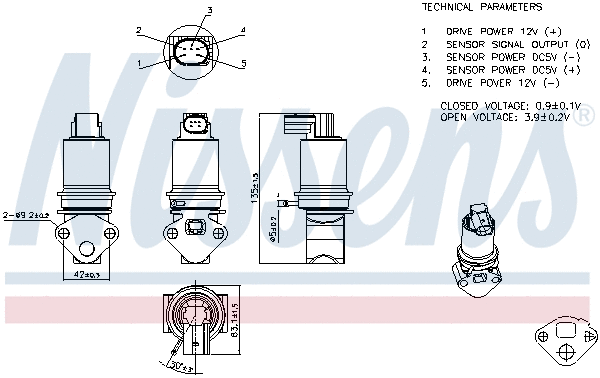 EGR Valve