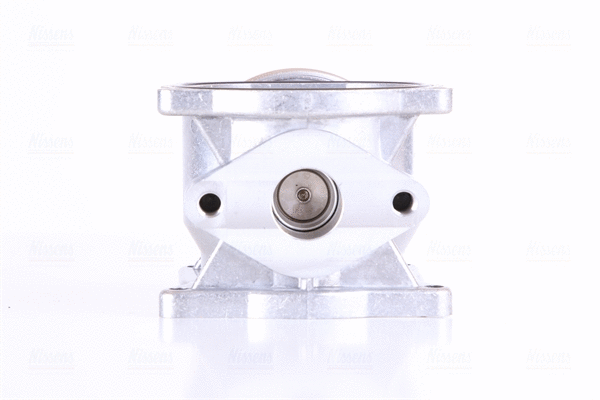 EGR Valve (98295)