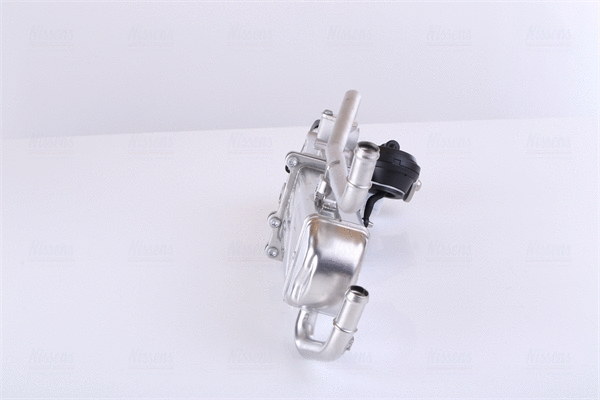 EGR Module