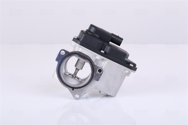 EGR Valve (98192)