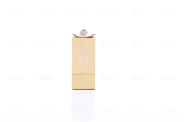 Expansion Valve, air conditioning (999249)