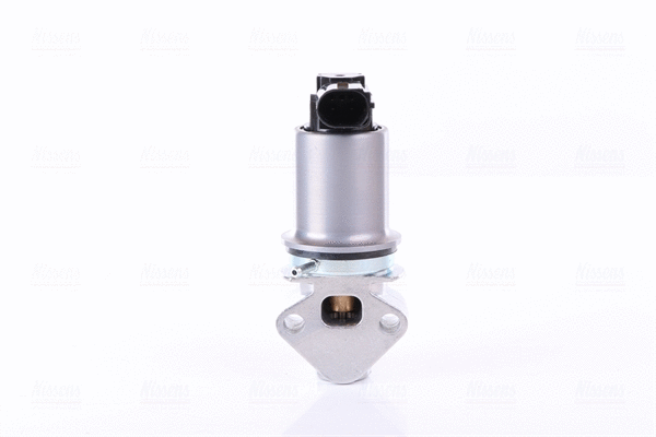 EGR Valve (98370)