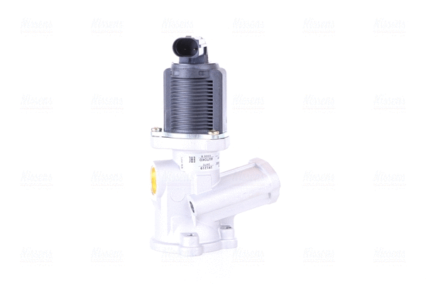 EGR Valve (98175)