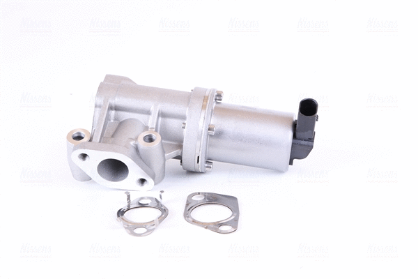 EGR Valve (98307)