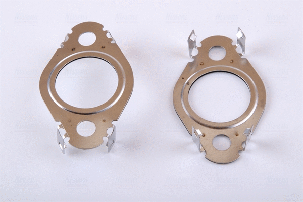 EGR Module