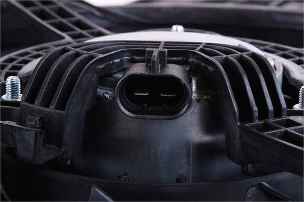 Fan, engine cooling