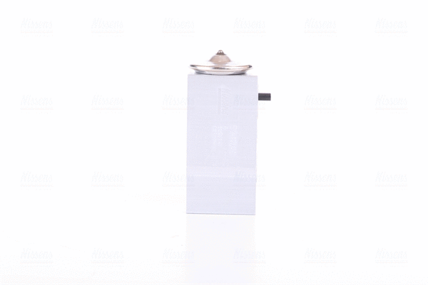Expansion Valve, air conditioning (999220)