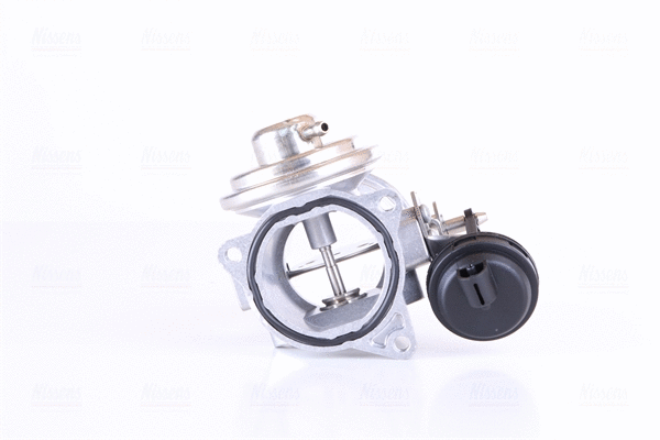 EGR Valve (98300)