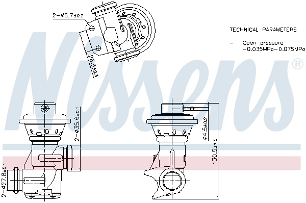 EGR Valve (98496)