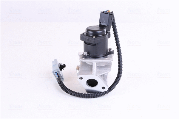 EGR Valve (98244)