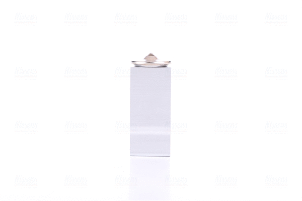 Expansion Valve, air conditioning (999238)