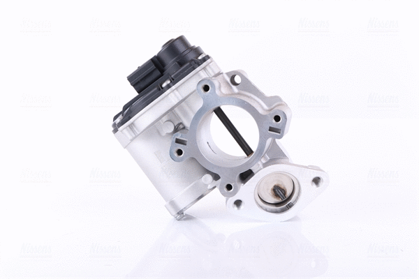 EGR Valve (98261)