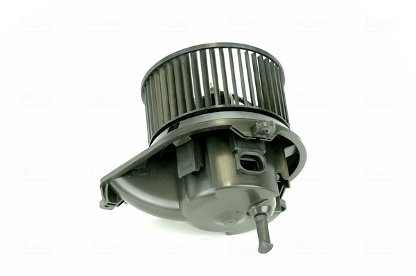 Interior Blower