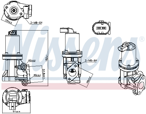 EGR Valve