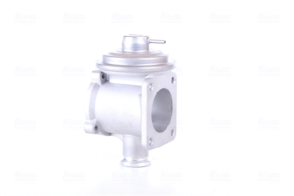 EGR Valve (98219)