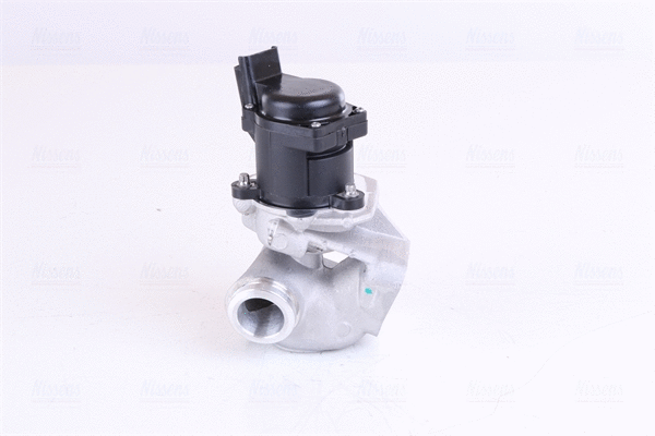 EGR Valve (98188)