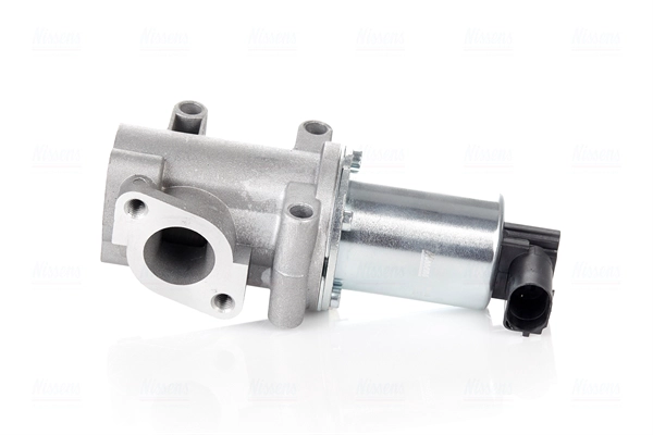 EGR Valve (98193)