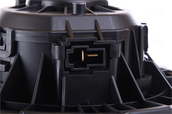 Interior Blower