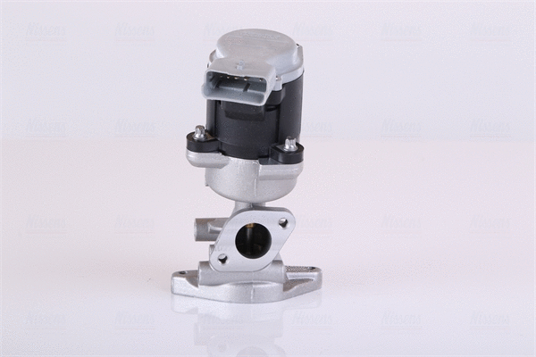 EGR Valve (98351)