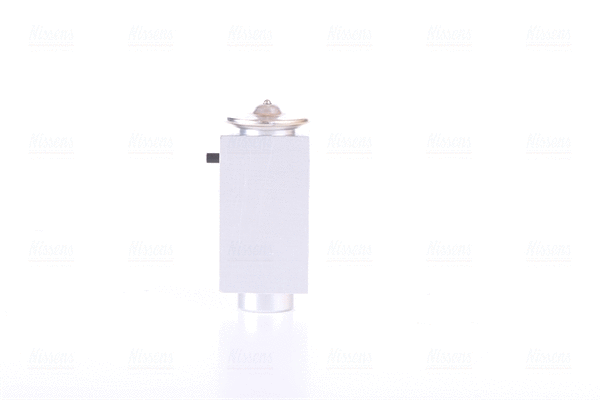 Expansion Valve, air conditioning (999319)