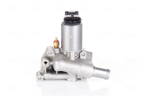 EGR Valve (98227)