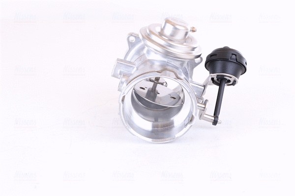 EGR Valve (98268)