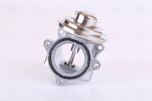 EGR Valve (98294)