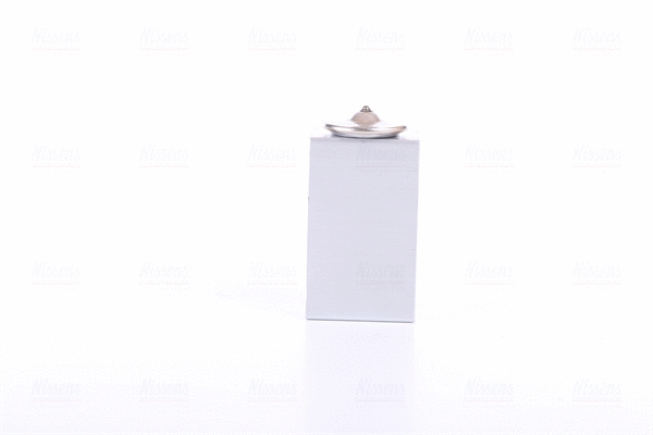 Expansion Valve, air conditioning (999344)