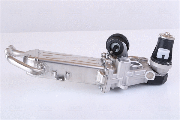 EGR Module